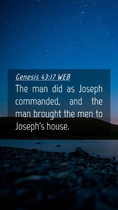 Picture 04 - Genesis 43:17 WEB Mobile Phone Wallpaper - The man did as Joseph commanded, and the man - Mobile Bible Verse Wallpaper