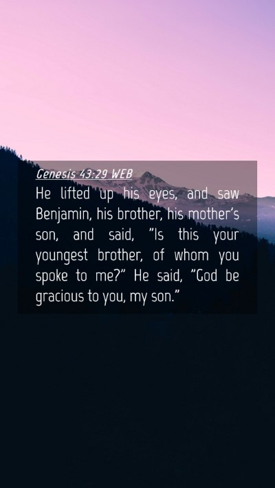 Picture 04 - Genesis 43:29 WEB Mobile Phone Wallpaper - He lifted up his eyes, and saw Benjamin, his - Mobile Bible Verse Wallpaper