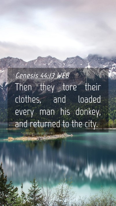 Picture 04 - Genesis 44:13 WEB Mobile Phone Wallpaper - Then they tore their clothes, and loaded every - Mobile Bible Verse Wallpaper