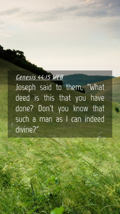 Picture 04 - Genesis 44:15 WEB Mobile Phone Wallpaper - Joseph said to them, 