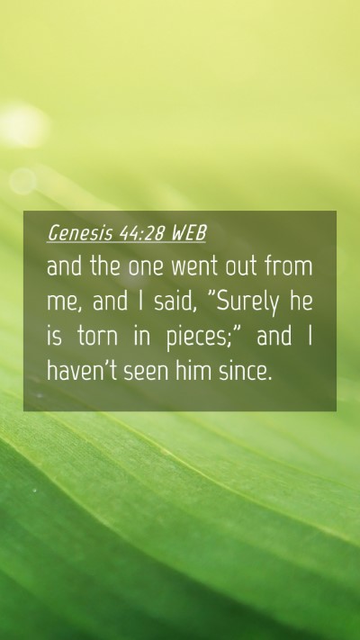 Picture 04 - Genesis 44:28 WEB Mobile Phone Wallpaper - and the one went out from me, and I said, 