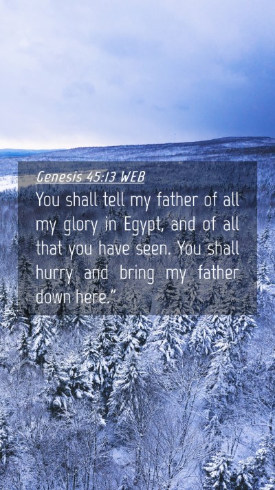 Picture 04 - Genesis 45:13 WEB Mobile Phone Wallpaper - You shall tell my father of all my glory in - Mobile Bible Verse Wallpaper