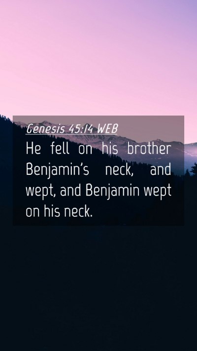 Picture 04 - Genesis 45:14 WEB Mobile Phone Wallpaper - He fell on his brother Benjamin's neck, and wept, - Mobile Bible Verse Wallpaper