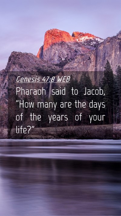 Picture 04 - Genesis 47:8 WEB Mobile Phone Wallpaper - Pharaoh said to Jacob, 