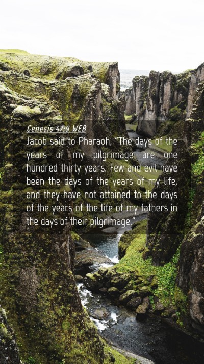 Picture 04 - Genesis 47:9 WEB Mobile Phone Wallpaper - Jacob said to Pharaoh, 