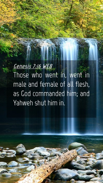 Picture 04 - Genesis 7:16 WEB Mobile Phone Wallpaper - Those who went in, went in male and female of all - Mobile Bible Verse Wallpaper