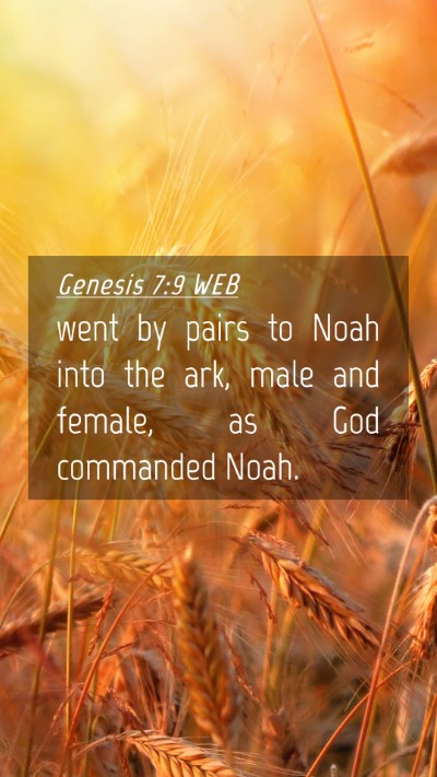 Picture 04 - Genesis 7:9 WEB Mobile Phone Wallpaper - went by pairs to Noah into the ark, male and - Mobile Bible Verse Wallpaper