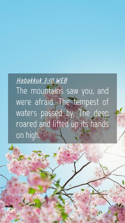 Picture 04 - Habakkuk 3:10 WEB Mobile Phone Wallpaper - The mountains saw you, and were afraid. The - Mobile Bible Verse Wallpaper