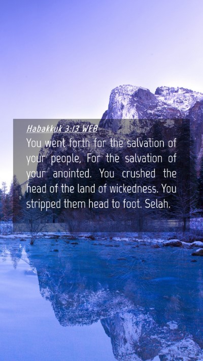 Picture 04 - Habakkuk 3:13 WEB Mobile Phone Wallpaper - You went forth for the salvation of your people, - Mobile Bible Verse Wallpaper