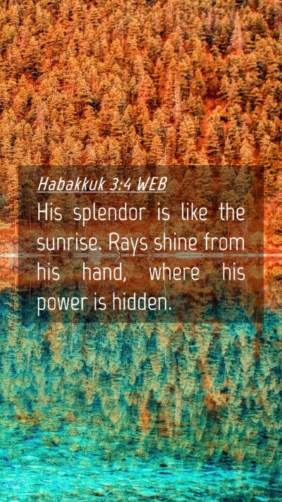 Picture 04 - Habakkuk 3:4 WEB Mobile Phone Wallpaper - His splendor is like the sunrise. Rays shine from - Mobile Bible Verse Wallpaper
