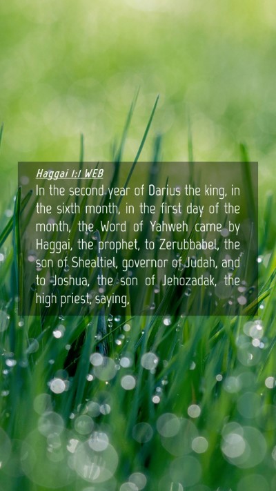 Picture 04 - Haggai 1:1 WEB Mobile Phone Wallpaper - In the second year of Darius the king, in the - Mobile Bible Verse Wallpaper