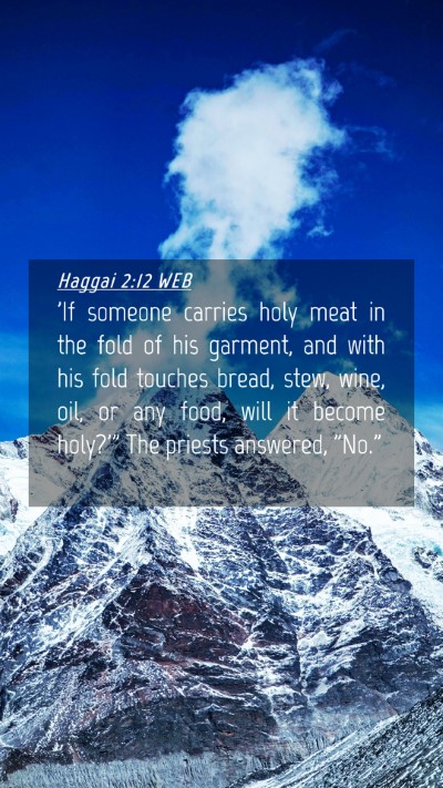 Picture 04 - Haggai 2:12 WEB Mobile Phone Wallpaper - 'If someone carries holy meat in the fold of his - Mobile Bible Verse Wallpaper