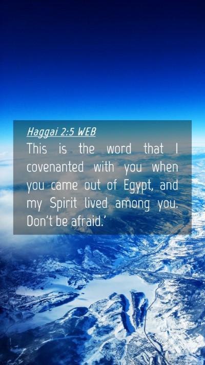 Picture 04 - Haggai 2:5 WEB Mobile Phone Wallpaper - This is the word that I covenanted with you when - Mobile Bible Verse Wallpaper