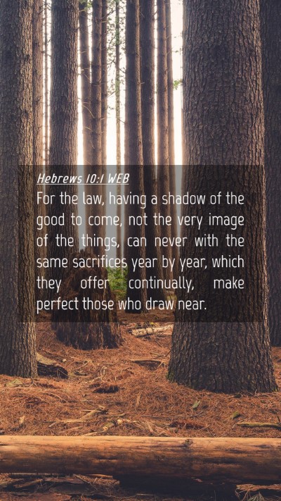 Picture 04 - Hebrews 10:1 WEB Mobile Phone Wallpaper - For the law, having a shadow of the good to come, - Mobile Bible Verse Wallpaper
