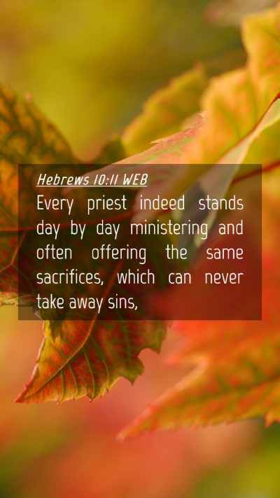 Picture 04 - Hebrews 10:11 WEB Mobile Phone Wallpaper - Every priest indeed stands day by day ministering - Mobile Bible Verse Wallpaper