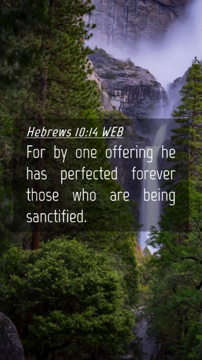 Picture 04 - Hebrews 10:14 WEB Mobile Phone Wallpaper - For by one offering he has perfected forever - Mobile Bible Verse Wallpaper