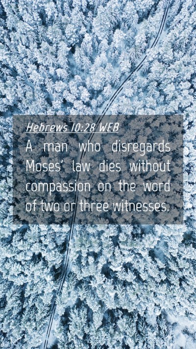 Picture 04 - Hebrews 10:28 WEB Mobile Phone Wallpaper - A man who disregards Moses' law dies without - Mobile Bible Verse Wallpaper