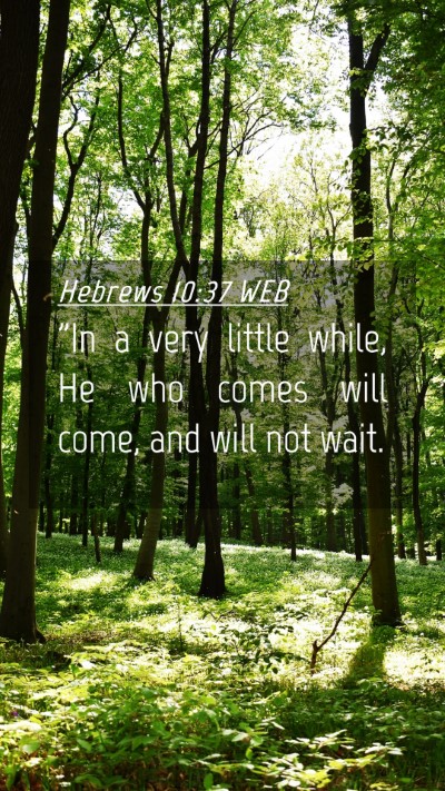 Picture 04 - Hebrews 10:37 WEB Mobile Phone Wallpaper - 