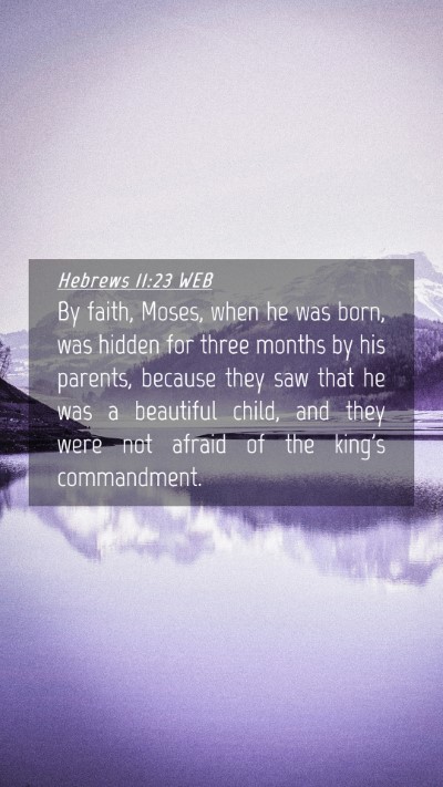 Picture 04 - Hebrews 11:23 WEB Mobile Phone Wallpaper - By faith, Moses, when he was born, was hidden for - Mobile Bible Verse Wallpaper