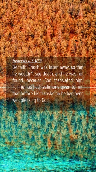 Picture 04 - Hebrews 11:5 WEB Mobile Phone Wallpaper - By faith, Enoch was taken away, so that he - Mobile Bible Verse Wallpaper