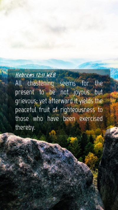 Picture 04 - Hebrews 12:11 WEB Mobile Phone Wallpaper - All chastening seems for the present to be not - Mobile Bible Verse Wallpaper