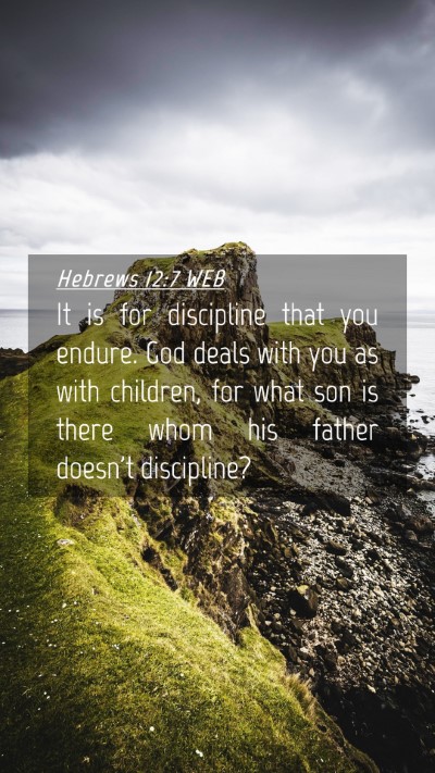 Picture 04 - Hebrews 12:7 WEB Mobile Phone Wallpaper - It is for discipline that you endure. God deals - Mobile Bible Verse Wallpaper
