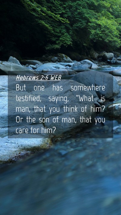 Picture 04 - Hebrews 2:6 WEB Mobile Phone Wallpaper - But one has somewhere testified, saying, 