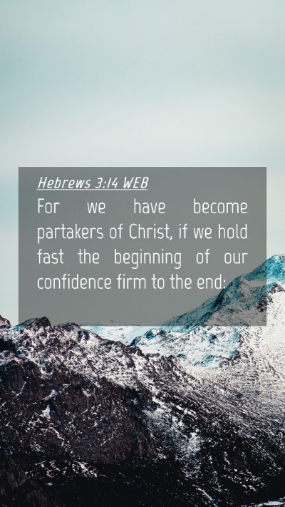 Picture 04 - Hebrews 3:14 WEB Mobile Phone Wallpaper - For we have become partakers of Christ, if we - Mobile Bible Verse Wallpaper