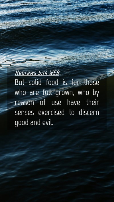 Picture 04 - Hebrews 5:14 WEB Mobile Phone Wallpaper - But solid food is for those who are full grown, - Mobile Bible Verse Wallpaper