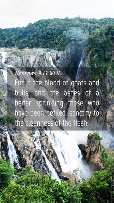 Picture 04 - Hebrews 9:13 WEB Mobile Phone Wallpaper - For if the blood of goats and bulls, and the - Mobile Bible Verse Wallpaper