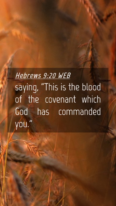 Picture 04 - Hebrews 9:20 WEB Mobile Phone Wallpaper - saying, 