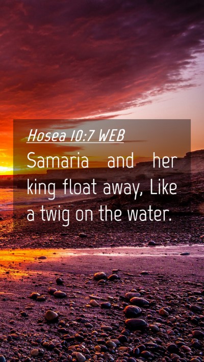 Picture 04 - Hosea 10:7 WEB Mobile Phone Wallpaper - Samaria and her king float away, Like a twig on - Mobile Bible Verse Wallpaper