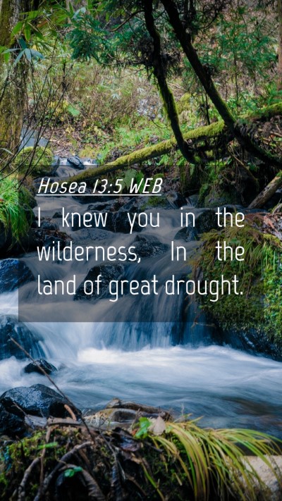 Picture 04 - Hosea 13:5 WEB Mobile Phone Wallpaper - I knew you in the wilderness, In the land of - Mobile Bible Verse Wallpaper