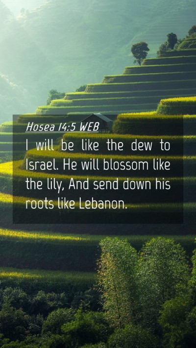 Picture 04 - Hosea 14:5 WEB Mobile Phone Wallpaper - I will be like the dew to Israel. He will blossom - Mobile Bible Verse Wallpaper