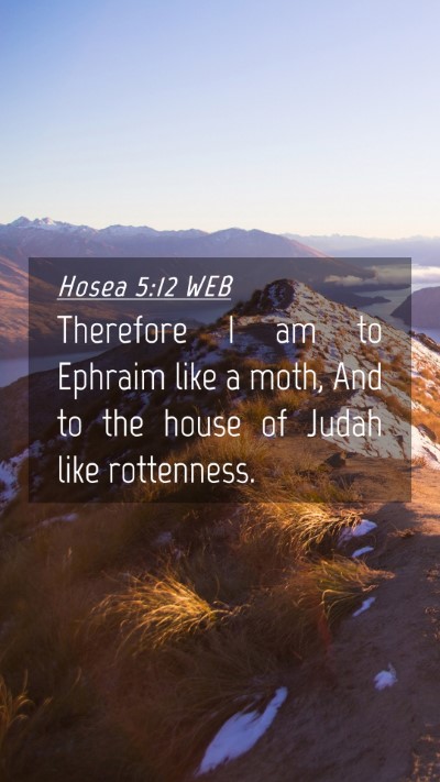 Picture 04 - Hosea 5:12 WEB Mobile Phone Wallpaper - Therefore I am to Ephraim like a moth, And to the - Mobile Bible Verse Wallpaper