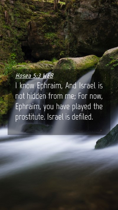 Picture 04 - Hosea 5:3 WEB Mobile Phone Wallpaper - I know Ephraim, And Israel is not hidden from me; - Mobile Bible Verse Wallpaper
