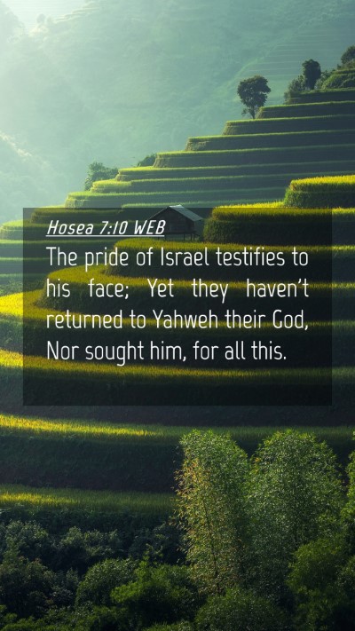 Picture 04 - Hosea 7:10 WEB Mobile Phone Wallpaper - The pride of Israel testifies to his face; Yet - Mobile Bible Verse Wallpaper