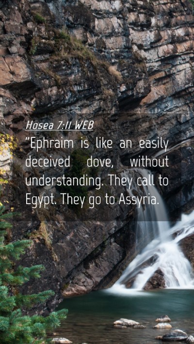 Picture 04 - Hosea 7:11 WEB Mobile Phone Wallpaper - 