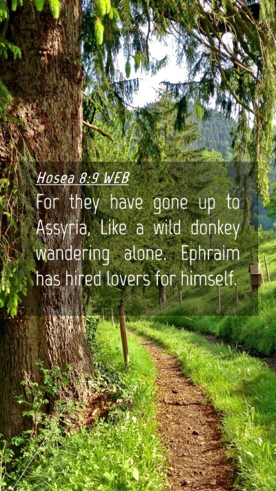 Picture 04 - Hosea 8:9 WEB Mobile Phone Wallpaper - For they have gone up to Assyria, Like a wild - Mobile Bible Verse Wallpaper