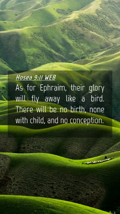 Picture 04 - Hosea 9:11 WEB Mobile Phone Wallpaper - As for Ephraim, their glory will fly away like a - Mobile Bible Verse Wallpaper
