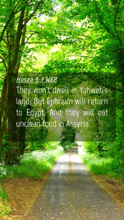Picture 04 - Hosea 9:3 WEB Mobile Phone Wallpaper - They won't dwell in Yahweh's land; But Ephraim - Mobile Bible Verse Wallpaper