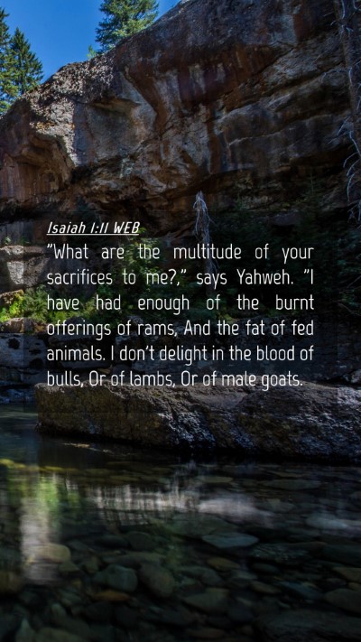 Picture 04 - Isaiah 1:11 WEB Mobile Phone Wallpaper - 