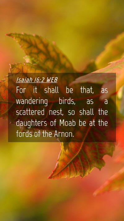 Picture 04 - Isaiah 16:2 WEB Mobile Phone Wallpaper - For it shall be that, as wandering birds, as a - Mobile Bible Verse Wallpaper
