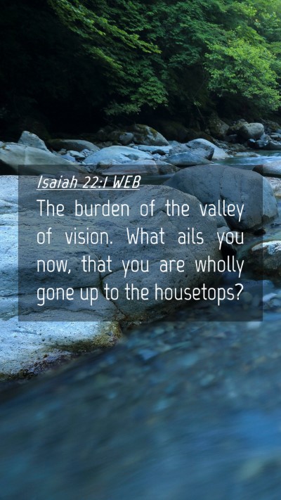 Picture 04 - Isaiah 22:1 WEB Mobile Phone Wallpaper - The burden of the valley of vision. What ails you - Mobile Bible Verse Wallpaper