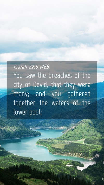 Picture 04 - Isaiah 22:9 WEB Mobile Phone Wallpaper - You saw the breaches of the city of David, that - Mobile Bible Verse Wallpaper