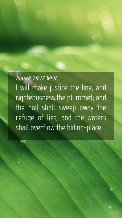 Picture 04 - Isaiah 28:17 WEB Mobile Phone Wallpaper - I will make justice the line, and righteousness - Mobile Bible Verse Wallpaper
