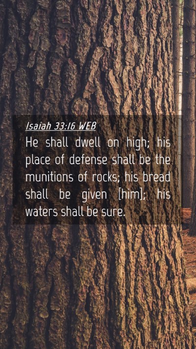 Picture 04 - Isaiah 33:16 WEB Mobile Phone Wallpaper - He shall dwell on high; his place of defense - Mobile Bible Verse Wallpaper