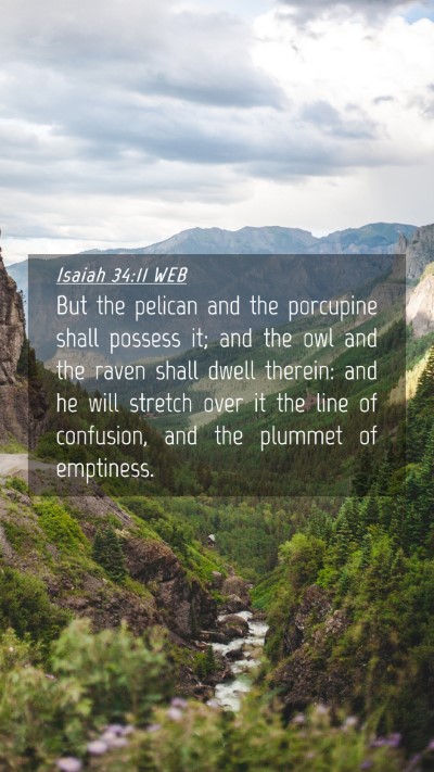 Picture 04 - Isaiah 34:11 WEB Mobile Phone Wallpaper - But the pelican and the porcupine shall possess - Mobile Bible Verse Wallpaper