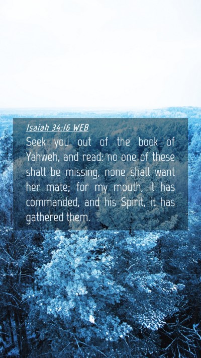 Picture 04 - Isaiah 34:16 WEB Mobile Phone Wallpaper - Seek you out of the book of Yahweh, and read: no - Mobile Bible Verse Wallpaper