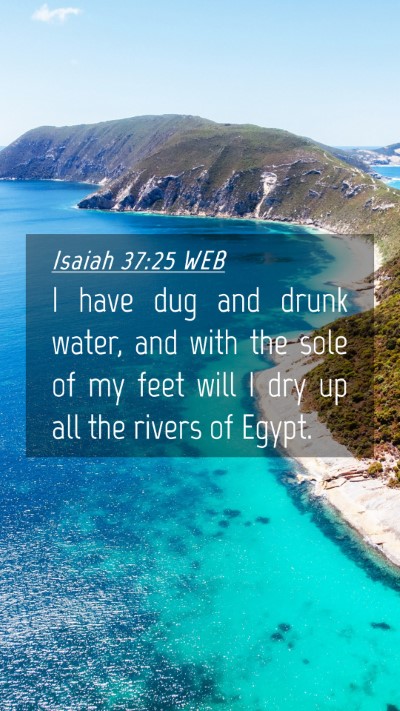 Picture 04 - Isaiah 37:25 WEB Mobile Phone Wallpaper - I have dug and drunk water, and with the sole of - Mobile Bible Verse Wallpaper